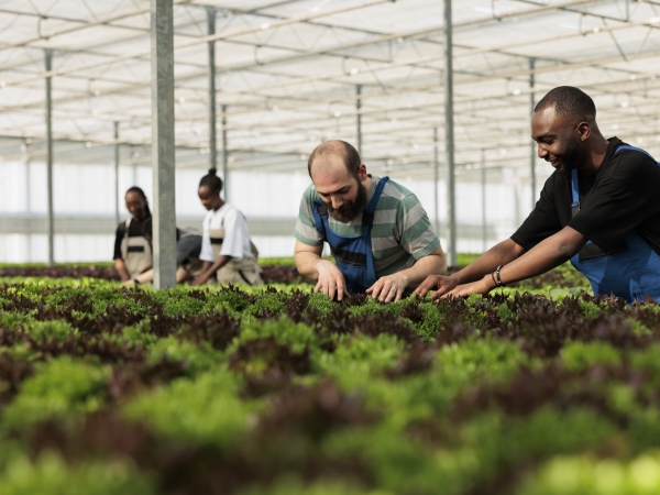 Une agriculture sociale et  solidaire, c’est possible 