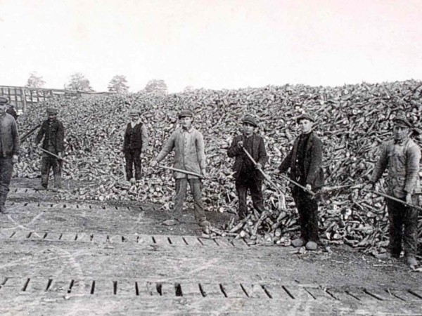 L’agriculture française pendant les JO de 1924 (2/5)