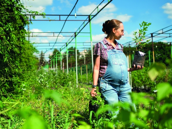 Grossesse et travail : innover pour  mieux accompagner les femmes