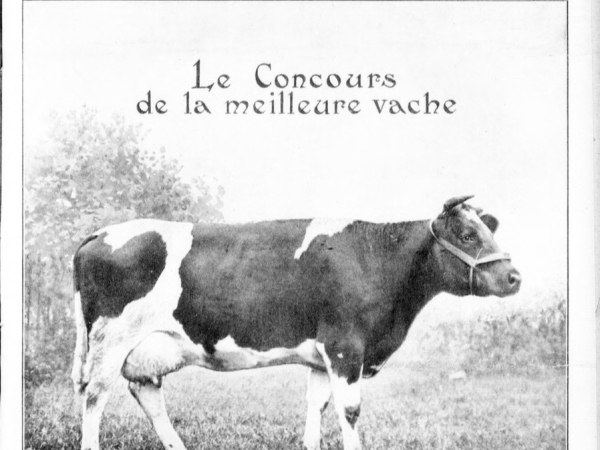 L’agriculture française pendant les JO de 1924 (5/5)