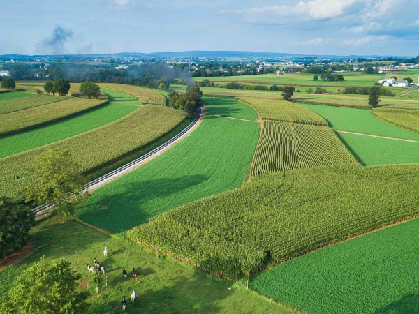 Prix des terres agricoles  et des vignobles pour 2024