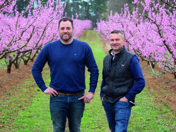 Terroirs de Familles : faire sa place sur le marché du kiwi bio