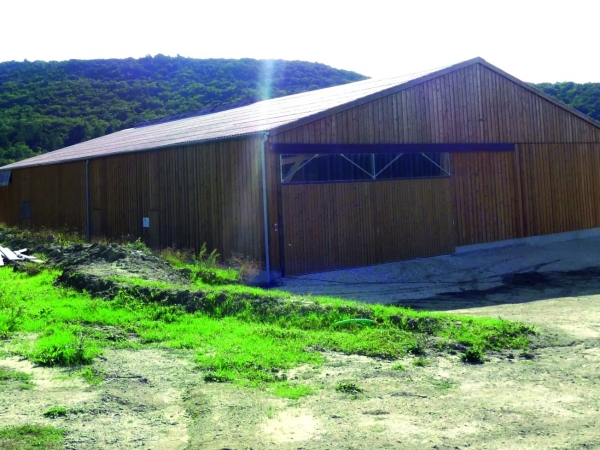 La Bergerie des Près : un bâtiment flambant neuf pour des brebis venues de Corse