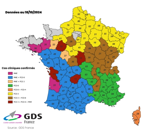 [CARTE] FCO, MHE... Le point sur l'avancée des épizooties 