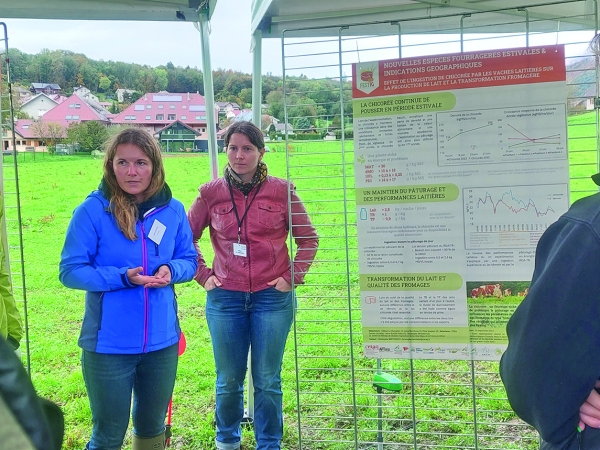 Pois’Innov 2024 : des idées prometteuses pour la résilience des élevages bovins lait