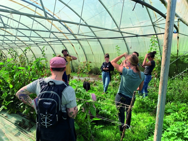 Aux Jardins du Treille, les exploitants programment l’irrigation des cultures 