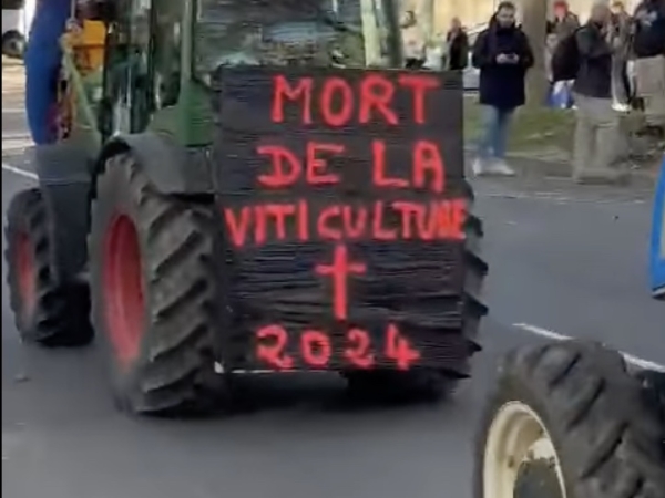 Mobilisation viticole à Carcassonne face à une situation «intenable» 