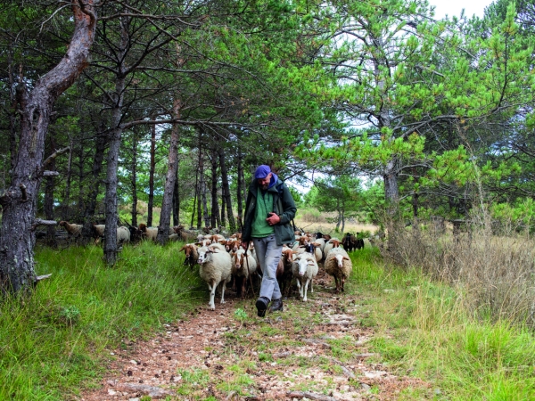 Une réussite  dans les Baronnies provençales