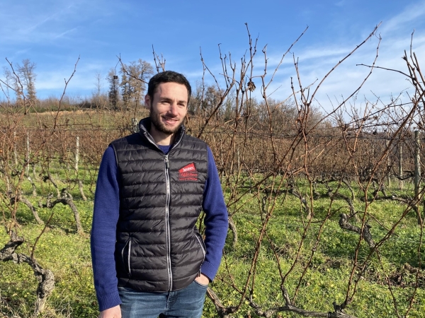 Un jeune vigneron confronté au prix élevé du foncier