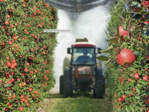 Insecticide Pledge : une décision de l’Anses annulée en référé