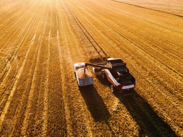 La moisson casse la dynamique des prix