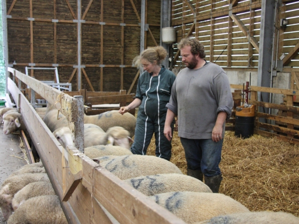 Les pistes de la MSA pour améliorer le sort des agricultrices