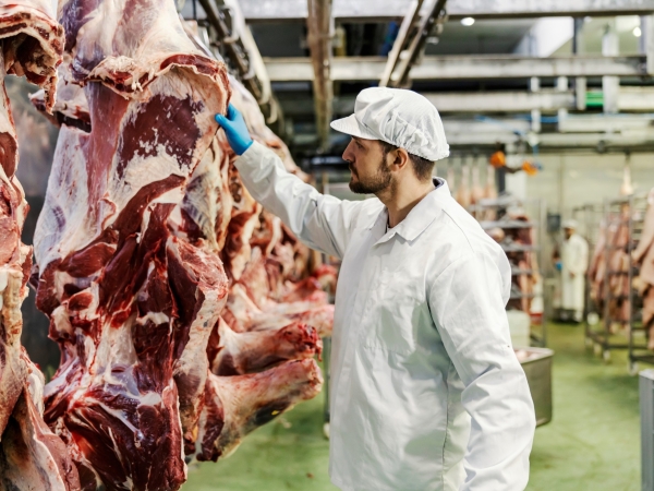 La baisse des abattages malmène les industriels