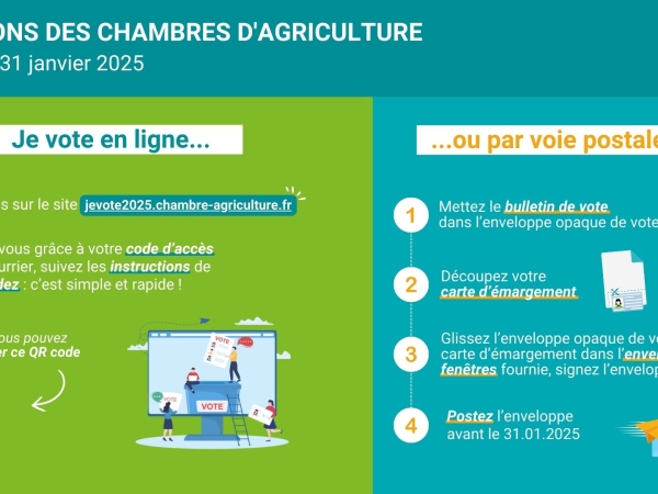 Comment voter aux élections des chambres d’agriculture 