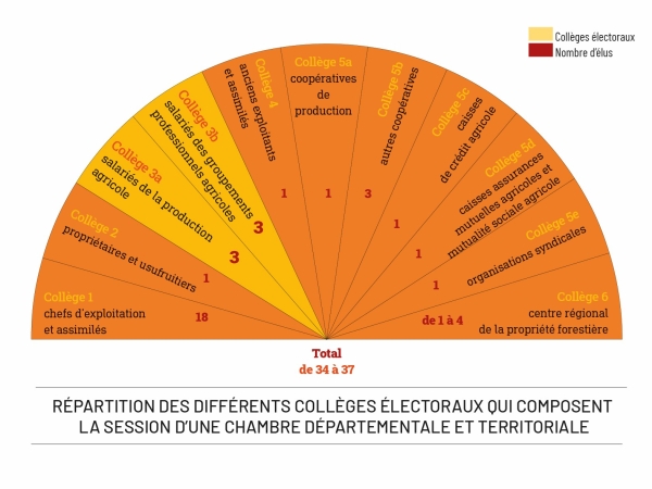 La composition des chambres d'agriculture