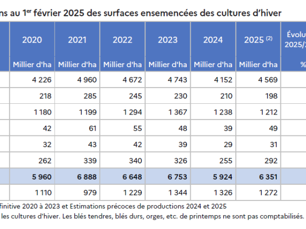 Hausse des céréales d’hiver pour la campagne 2025