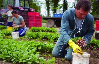 Emploi agricole : de nombreuses opportunités encore trop méconnues