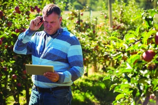 Très haut débit : un enjeu  essentiel pour l’agriculture