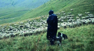 Loi pastorale : un demi-siècle d’avancées  