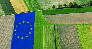 Comprendre les différents dispositifs européens d’aide à l’agriculture