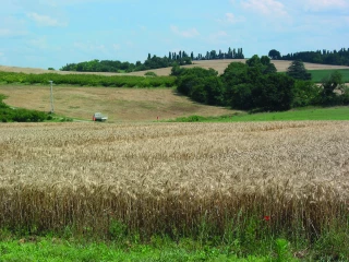 Propriété rurale : protéger  la terre nourricière