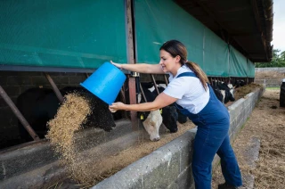 Alimentation animale : une production en baisse de 3,5 %