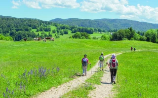 Des chartes pour agir au plus près des territoires