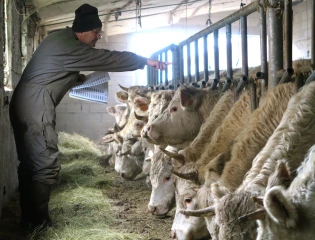 Vétérinaire en milieu rural, un métier plus que jamais à préserver