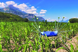 Les startups, acteurs presque   incontournables du secteur agricole 