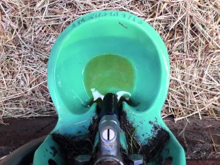 Récupérer l’eau de pluie  pour l’abreuvement 