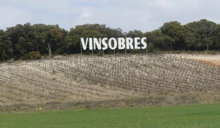 Vinsobres : s’autoréguler pour éviter l’effondrement des prix