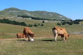 En Drôme, la situation sanitaire est stable mais des menaces pèsent