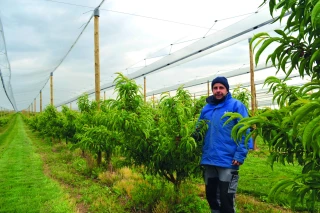 À Seyvet Fruits, la protection gage d’adaptation