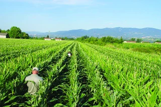 La filière plants et semences face  au défi du changement climatique