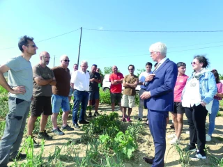 Orage de grêle : pensez à déclarer vos sinistres ! 