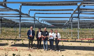 Un vignoble agrivoltaïque  dans le Sud-Drôme