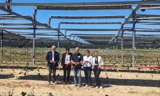 Un vignoble agrivoltaïque  dans le Sud-Drôme