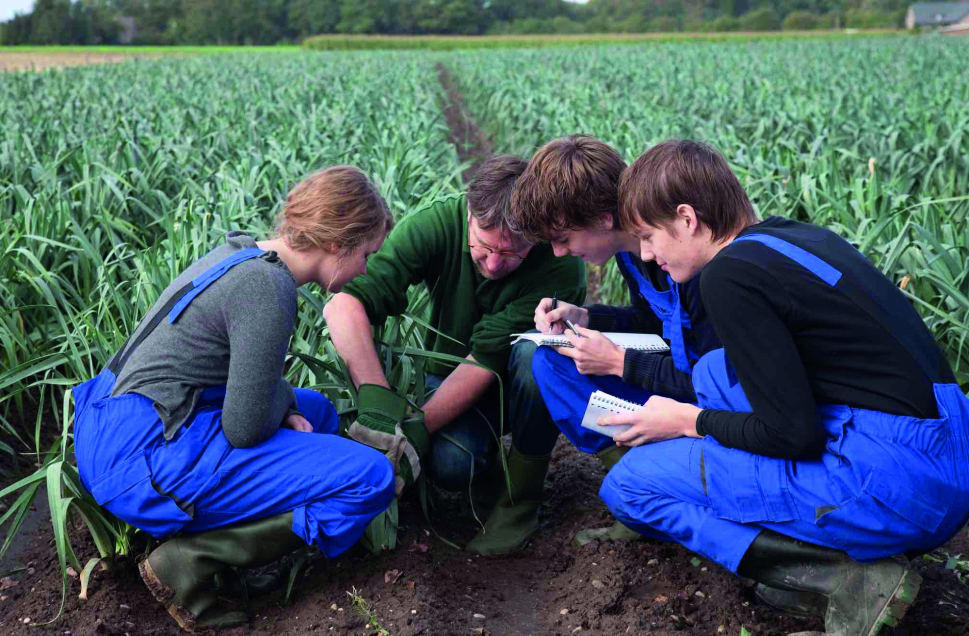 87,6 % des jeunes de l’enseignement agricole diplômés en 2024