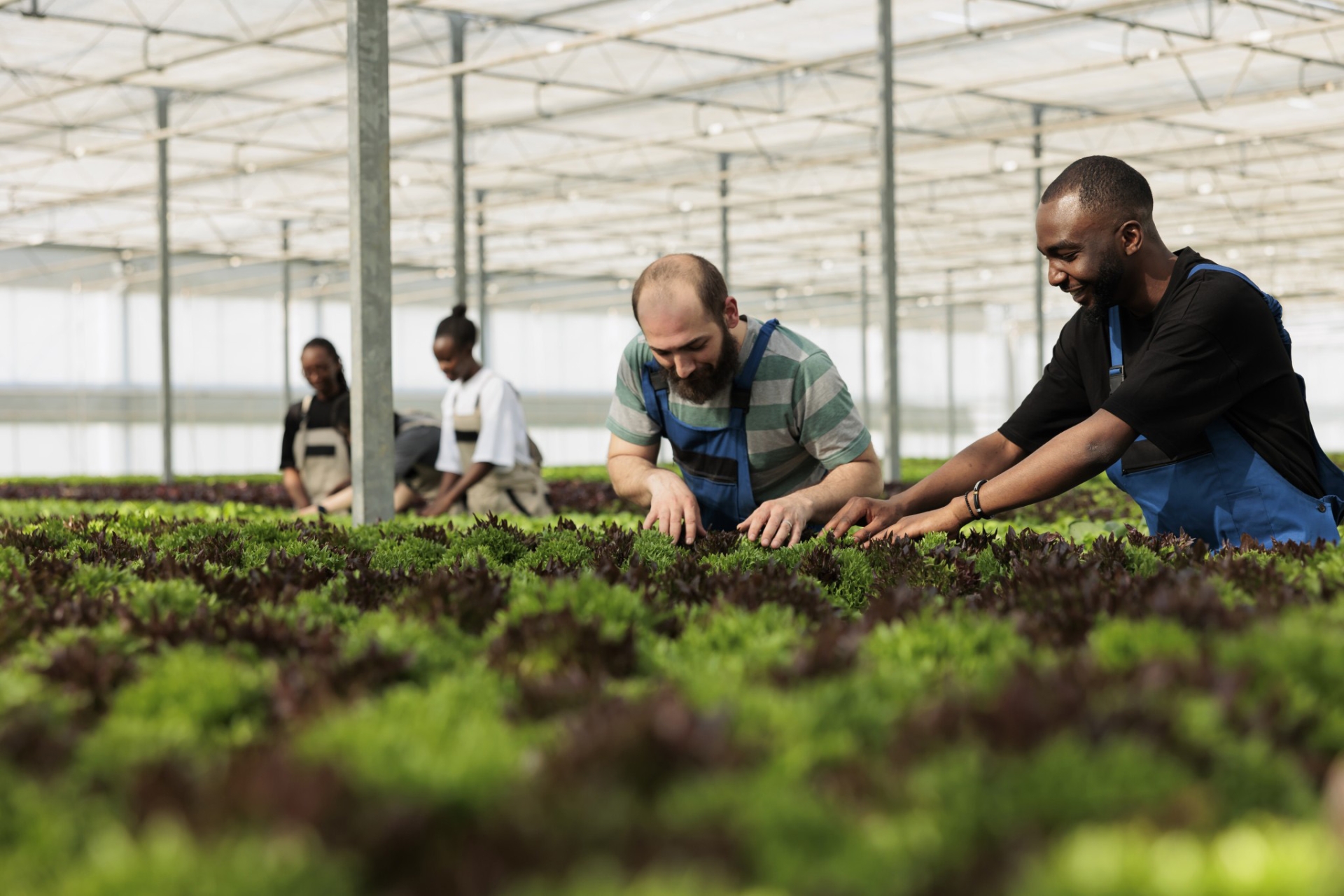 Une agriculture sociale et  solidaire, c’est possible 