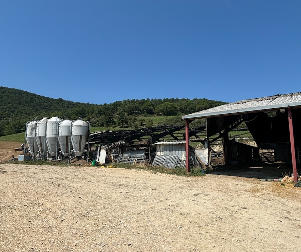 Un troupeau caprin décimé par un incendie à Suze