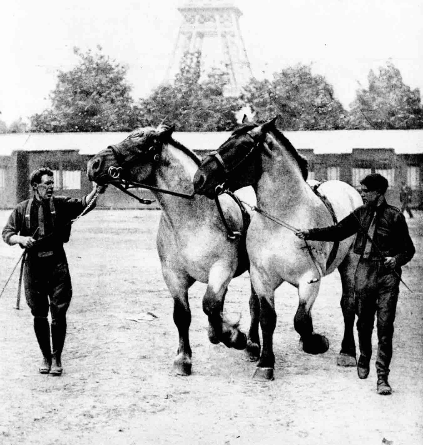 L’agriculture française pendant les JO de 1924 (4/5)