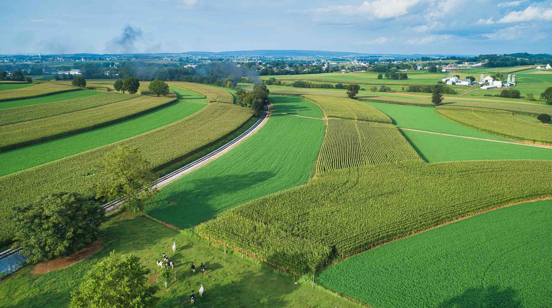 Prix des terres agricoles  et des vignobles pour 2024