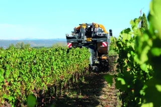 Un millésime tardif pour les vins de la vallée du Rhône