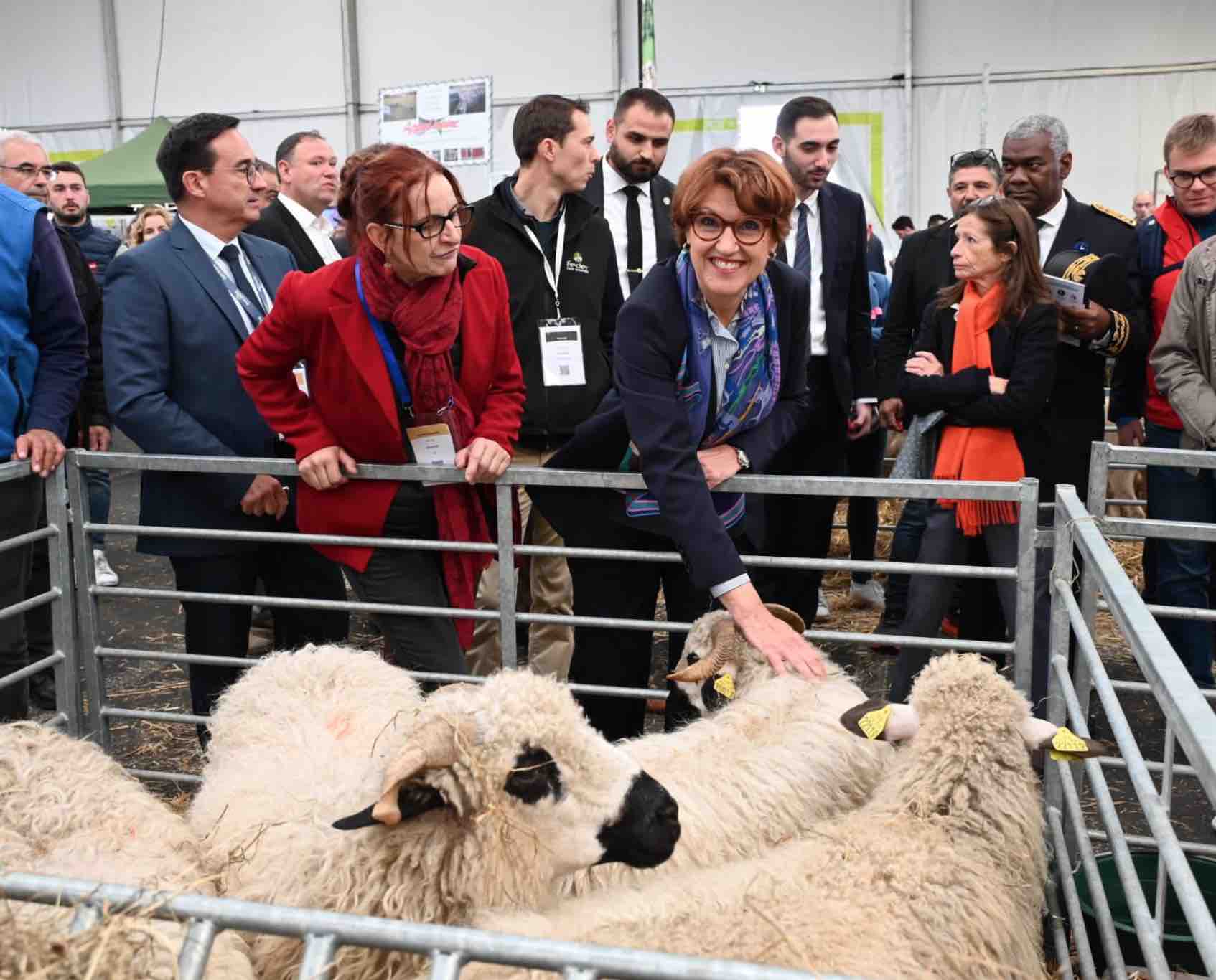 FCO : Annie Genevard étend la vaccination contre le sérotype 3 à toute la France