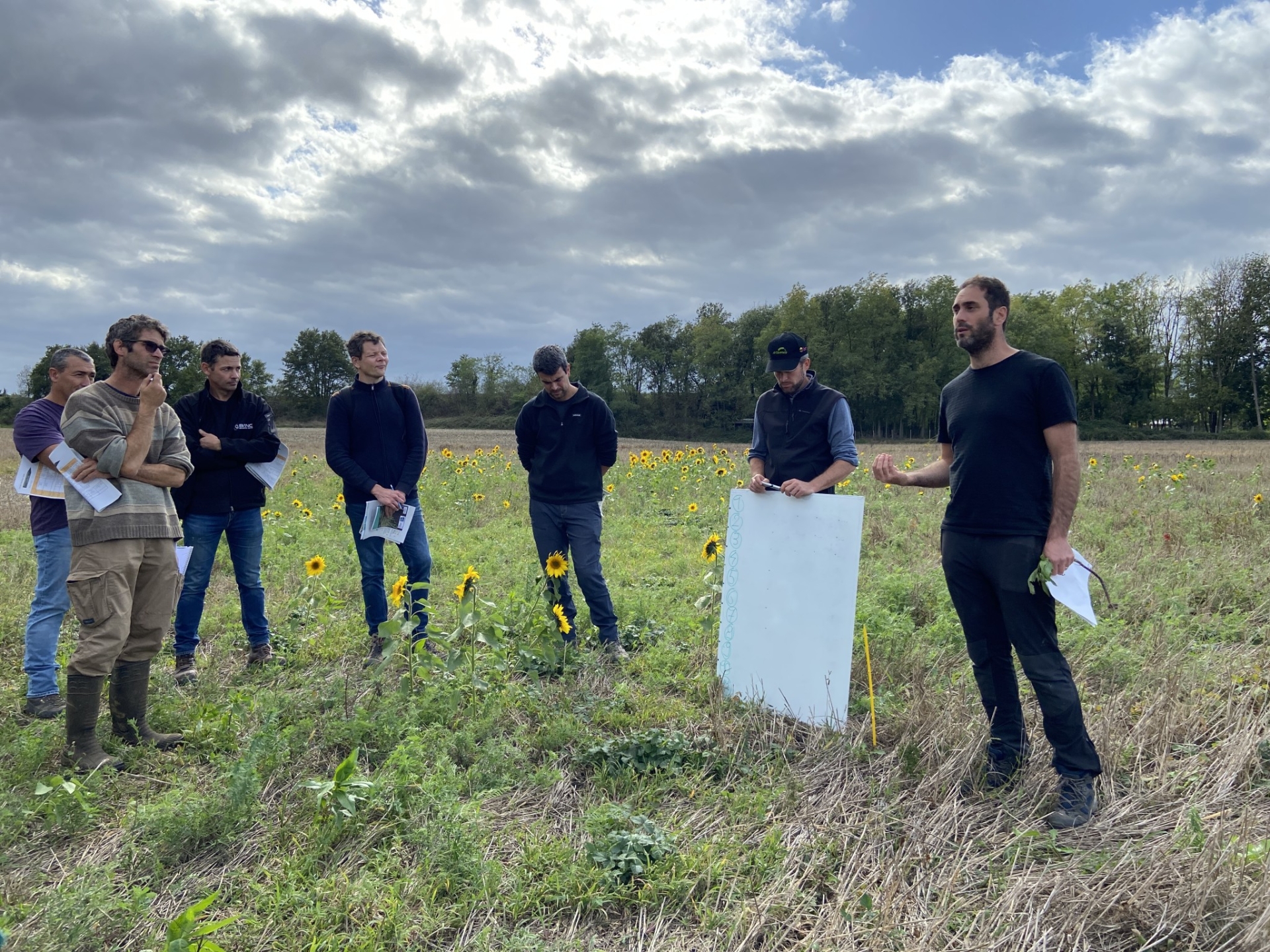 Agriculture de conservation et couverts végétaux passés à la loupe