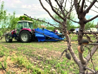 La Compagnie en recherche d’amandes