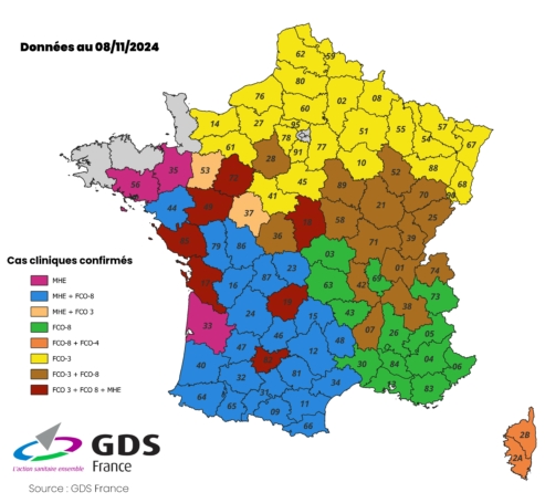 [CARTE] FCO, MHE... Le point sur l'avancée des épizooties 