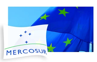 Mercosur : quels impacts sur l'agriculture française ? 