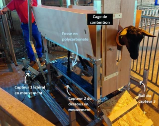 CapriMam3D, l’innovation au service de la traite 