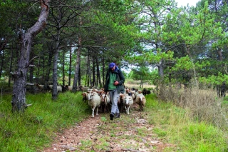 Une réussite  dans les Baronnies provençales